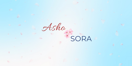 Welcome to Asho Sora's Blog