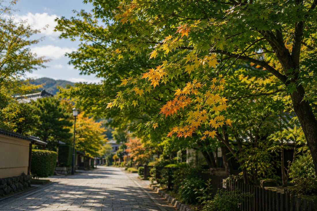 When the Leaves Begin to Turn