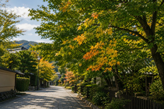 When the Leaves Begin to Turn