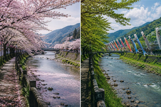 Split seasonal view of a quiet Japanese riverside showing cherry blossoms in spring and koinobori above fresh green trees in late spring
