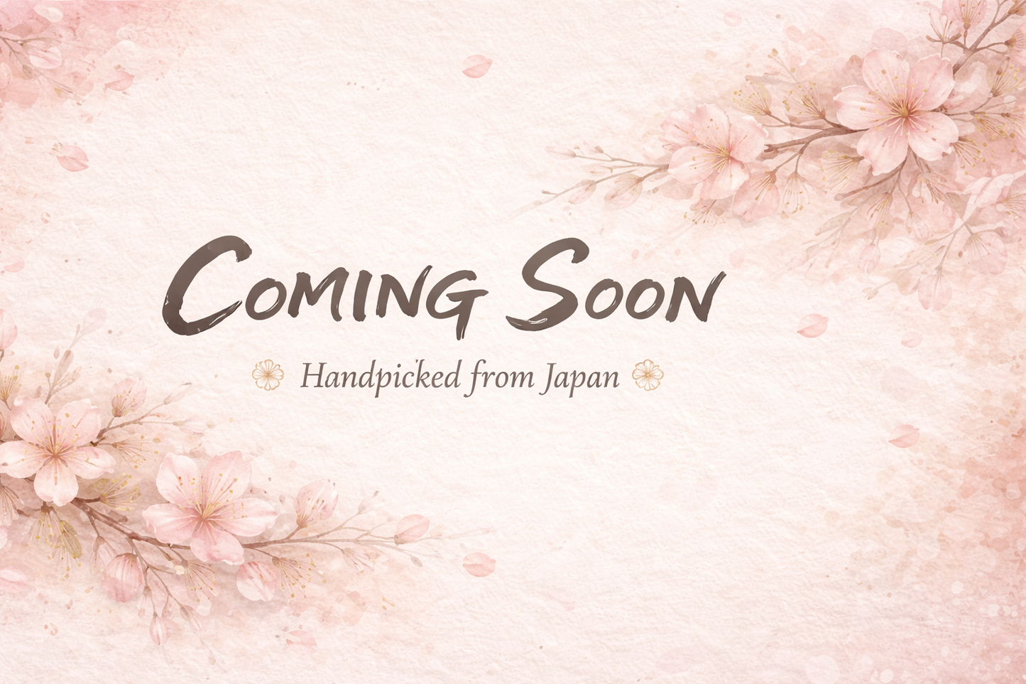 Japanese Curated Lifestyle Item – Coming Soon