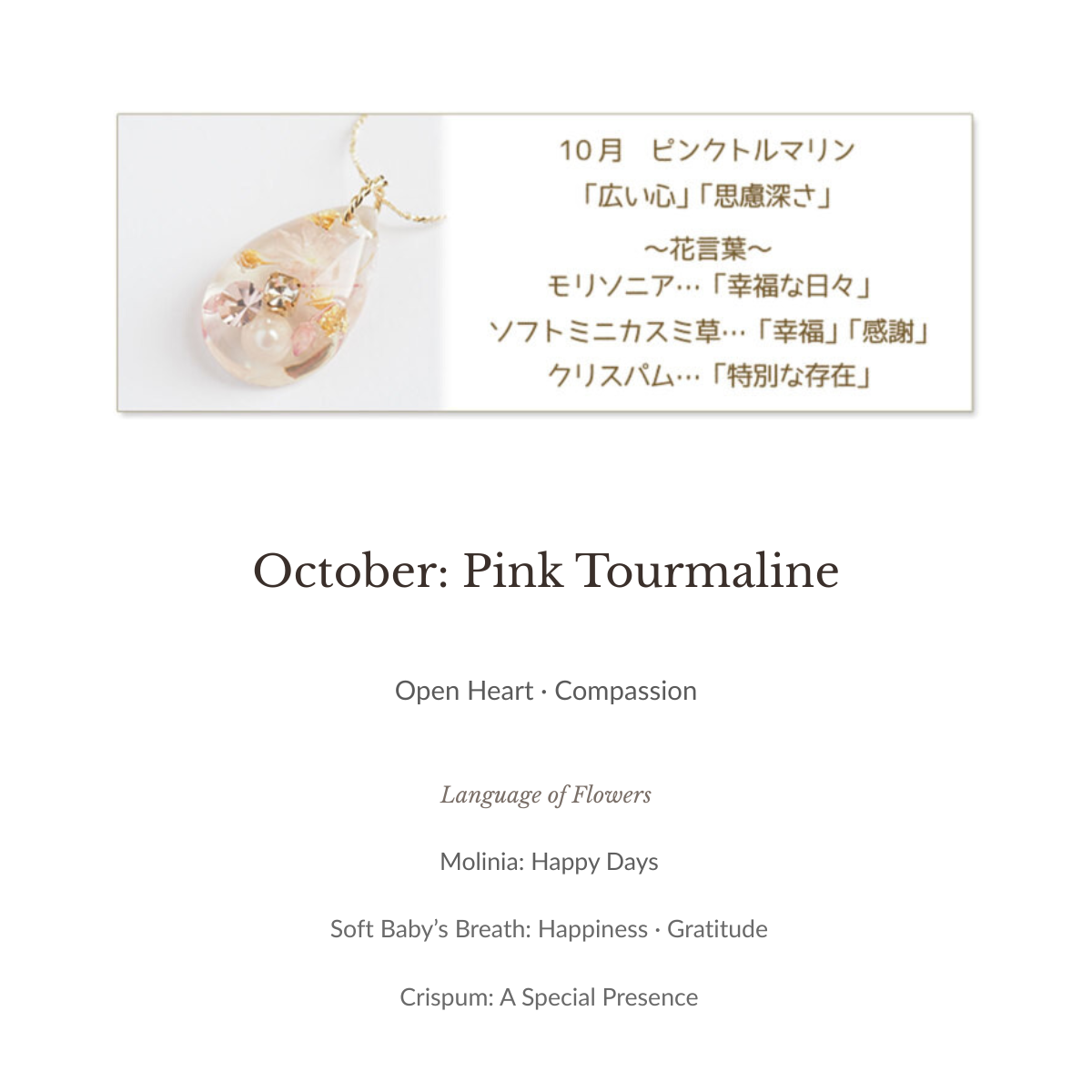 Birthstone Color Pendant with Dried Flowers